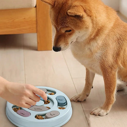 Dog Slow Feeder Bowl